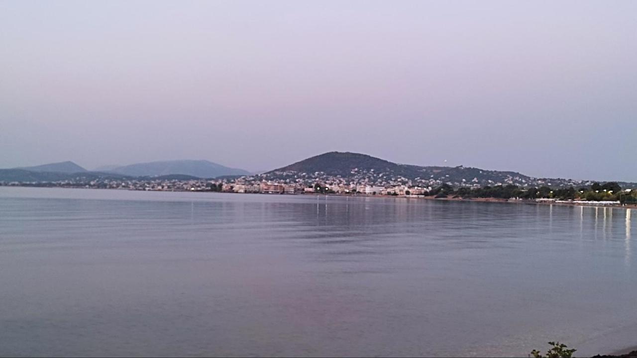 Apartment Beautiful Choice - Near Athens Airport - 50m From The Sea - Iq+ *