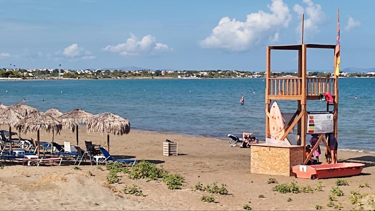 Beautiful Choice - Near Athens Airport - 50m From The Sea - Iq+ Artemida (Attica)