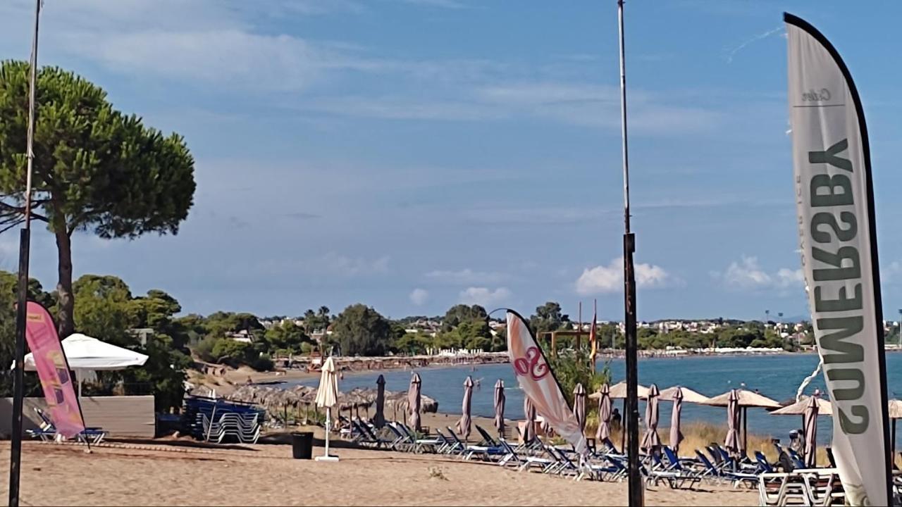 Beautiful Choice - Near Athens Airport - 50m From The Sea - Iq+ Apartment *