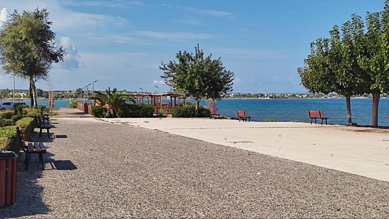 Beautiful Choice - Near Athens Airport - 50m From The Sea - Iq+ *