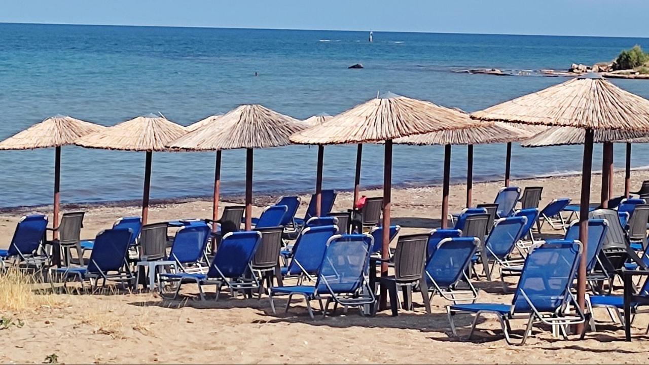 Beautiful Choice - Near Athens Airport - 50m From The Sea - Iq+ Apartment