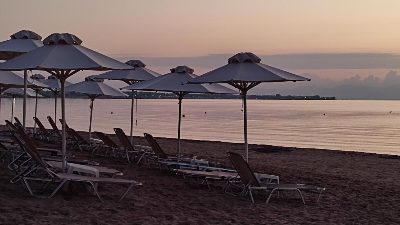 Beautiful Choice - Near Athens Airport - 50m From The Sea - Iq+ Apartment Artemida (Attica)