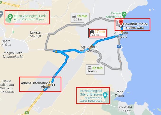 Beautiful Choice - Near Athens Airport - 50m From The Sea - Iq+ Apartment Artemida (Attica)